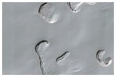 Monitoring of South Polar Residual Cap Albedo Features