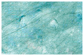 USGS Dune Database 2280-788 Changes