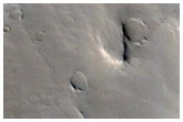 Well-Preserved 16-Kilometer Impact Crater West of Orcus Patera