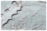 Monitoring of South Polar Residual Cap Albedo Features