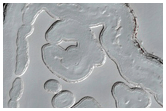Monitoring of South Polar Residual Cap Albedo Features