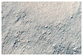 Gully Monitoring