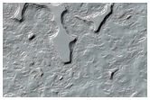 Monitoring of South Polar Residual Cap Albedo Features