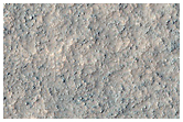 Dust Devil Tracks on the Floor of Mid-Latitude Crater