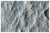 Putative Chloride-Rich Terrains
