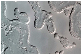 Monitoring of South Polar Residual Cap Albedo Features