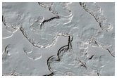 Monitoring of South Polar Residual Cap Albedo Features