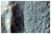 Gullies with Known Bright Deposit