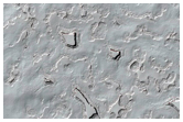 Monitoring of South Polar Residual Cap Albedo Features