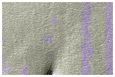 Monitoring of South Polar Residual Cap Albedo Features