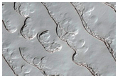 Monitoring of South Polar Residual Cap Albedo Features