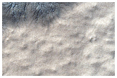 Monitor Seasonal Changes at South Polar Cracked and Gullied Site