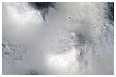 Filled Crater with Textured Floor