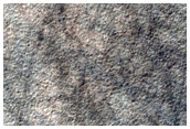 Southern Permafrost Survey