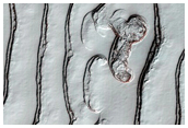 South Pole Residual Cap Interannual Change Monitoring