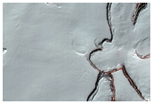 Monitoring of South Polar Residual Cap Albedo Features