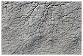 Region Dubbed Manhattan Classic Spider Terrain