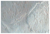 Gully Monitoring