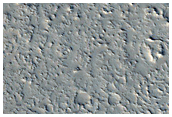 Possible New Impact Crater near Olympica Fossae