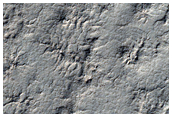 Spider Terrain