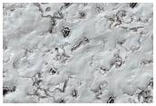 Monitoring of South Polar Residual Cap Albedo Features