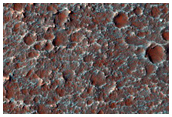 Putative Chloride-Rich Cracked Terrains
