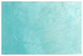 Licus Vallis