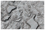 Monitoring of South Polar Residual Cap Albedo Features