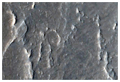 Curvilinear Ridge Traversing Two Terrain Types