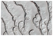 Monitoring of South Polar Residual Cap Albedo Features