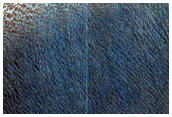 Light-Toned Stratified Materials in Melas Chasma