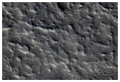 Branched Channels in Tantalus Fossae
