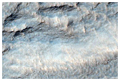 Scarp Monitoring