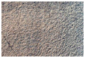 USGS Dune Database 1261-750