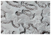 Monitoring of South Polar Residual Cap Albedo Features