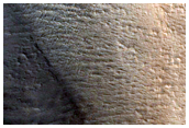 Slope Streak Monitoring in Lycus Sulci