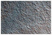Gully Monitoring