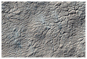 Manhattan Region Unfrosted