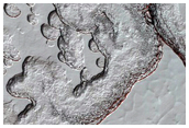 South Pole Residual Cap Interannual Change Monitoring