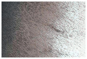 South Pole Residual Cap Interannual Change Monitoring