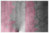 Monitoring of South Polar Residual Cap Albedo Features