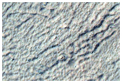 Gullies with Possible Light Deposits