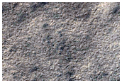 Ancient Dune Field
