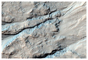 Gullied Crater Wall in Terra Cimmeria