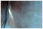 Northern Hemisphere Gully
