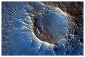 Cones in Northern Mid-Latitudes