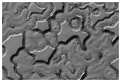 South Pole Residual Cap Interannual Change Monitoring