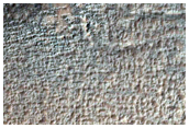 Gully Monitoring in Terra Sirenum