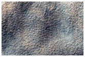 Southern Permafrost Survey