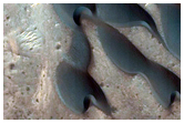 USGS Dune Database 3423-137 Changes